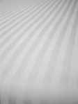 Комплект постільної білизни LIGHTHOUSE Sateen STRIPE White 200*220/2*50*70 - фото 33847