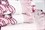 Рушник махровий Maisonette Lora 50*100 т.рожевий 450 г/м2 - фото 16360