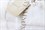 Набір рушників Maisonette Elegance 51*76 білий 700г/м2 2шт. - фото 37110